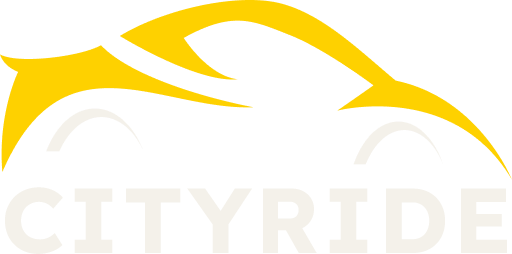 purvidriverservice.com